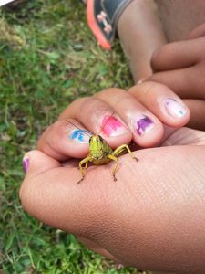 Hands with Grasshopper
