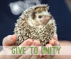give-to-unity.jpg